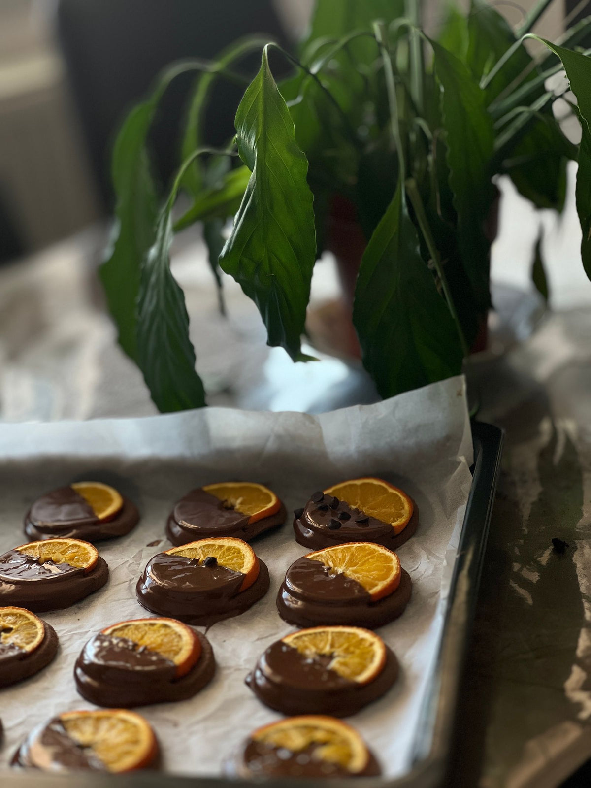 Chocolate and orange dessert
