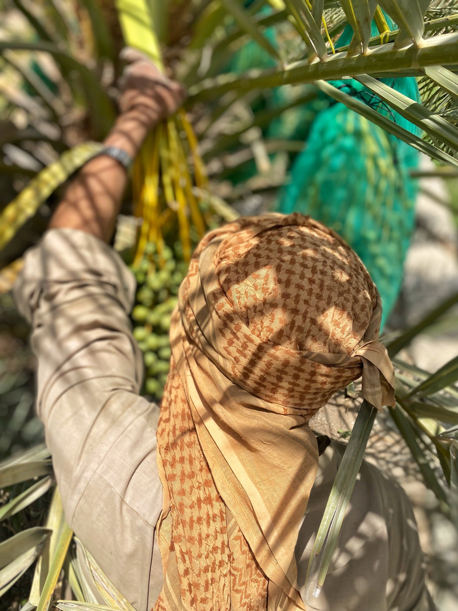 Ethical Indulgence: Why Fair Trade Dates Matter